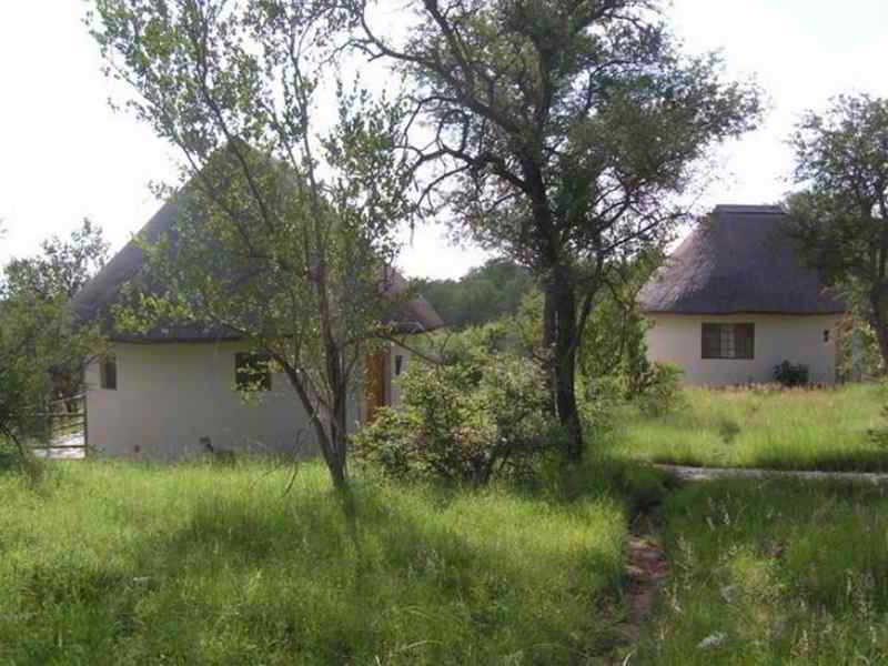 Mbizi Bush Lodge Phalaborwa Exteriör bild